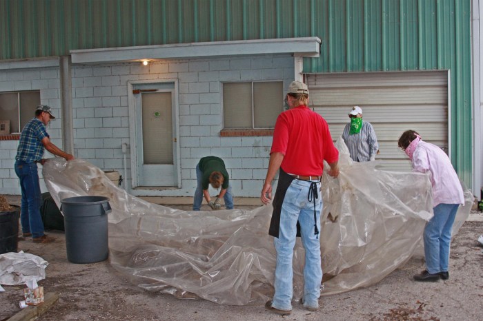 How Deep to Plant Bluebonnet Seeds