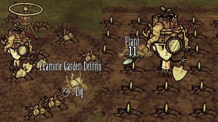 Don't starve together plant seeds