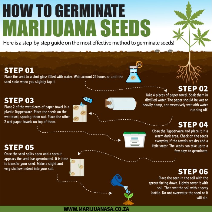 How deep in soil to plant weed seeds