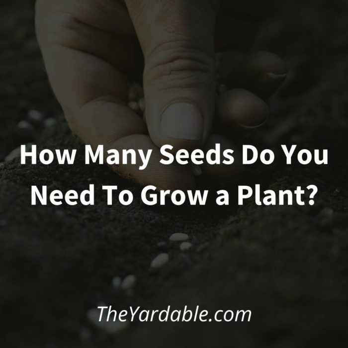 How deep should seeds be planted