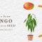 How Can You Plant a Mango Seed?