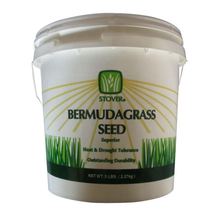 How Deep Do You Plant Bermuda Grass Seed?