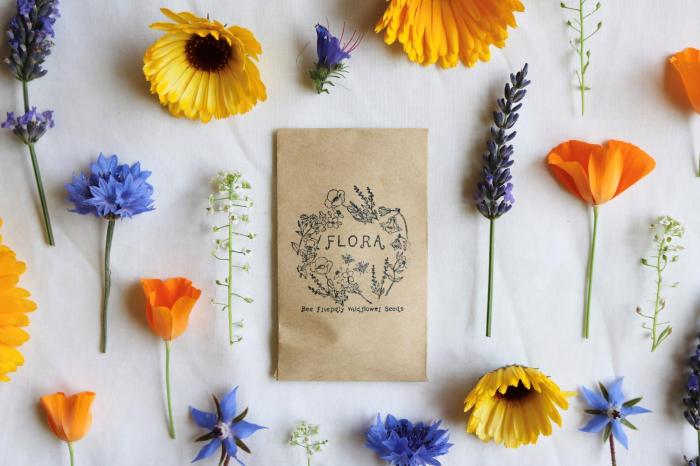 How Deep Do You Plant Wildflower Seeds?