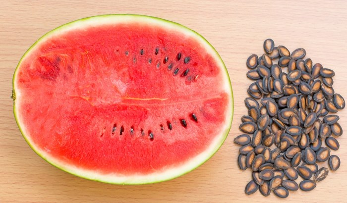 How Deep Do I Plant Watermelon Seeds?