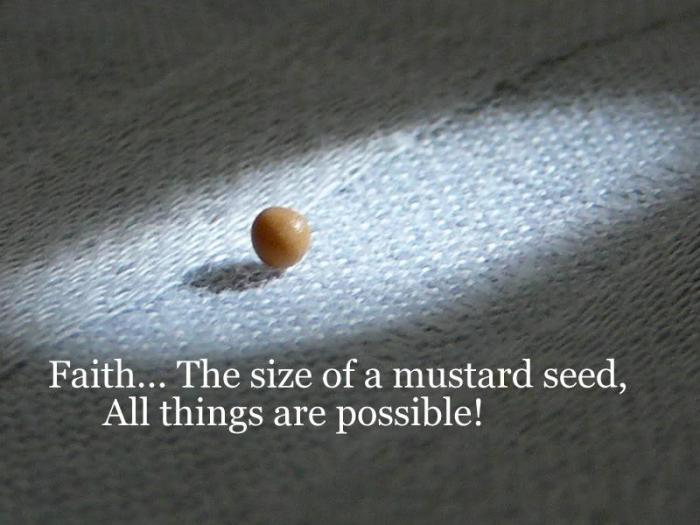 How big is a mustard seed plant